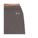 Adidas Entrada 22 W shorts HH9995 (2XS)