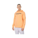 4F men's sweatshirt M266 M 4FSS23TSWSM266 64S (L)