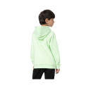 4F kids' sweatshirt Jr. 4FJSS23TSWSM220 42S (122cm)