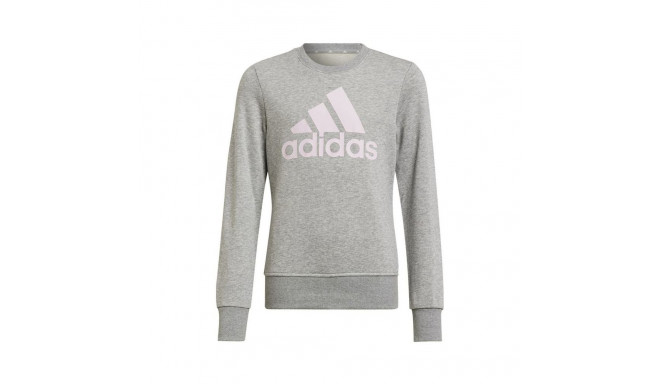 Adidas Big Logo Swt Jr HM8706 sweatshirt (134 cm)