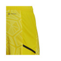 Goalkeeper shorts adidas Condivo 22 M HF0141 (L)