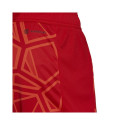 Goalkeeper shorts adidas Condivo 22 M H18814 (M)