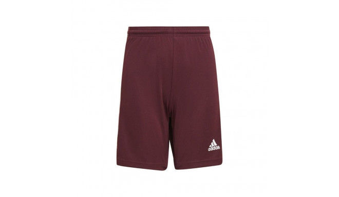 Adidas Squadra 21 Short Jr GN8081 (152cm)