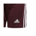 Adidas Squadra 21 Short Jr GN8081 (176cm)