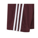 Adidas Squadra 21 Short Jr GN8081 (152cm)