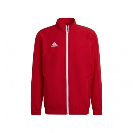 Adidas Entrada 22 Presentation Jacket M H57536 sweatshirt (L)