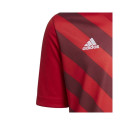 Adidas Entrada 22 Graphic Jersey Jr.H58983 (116 cm)