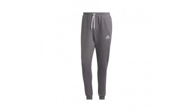 adidas Entrada 22 Sweat Pants M H57531 (L)