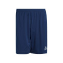 Adidas Entrada 22 M H57506 shorts (XL (188cm))