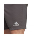 Adidas Entrada 22 M H57505 shorts (L)