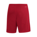 Adidas Entrada 22 M H61735 shorts (XL)