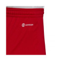 Adidas Entrada 22 M H61735 shorts (XL)