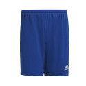 Adidas Entrada 22 M HG6294 shorts (M)