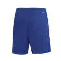 Adidas Entrada 22 M HG6294 shorts (M)