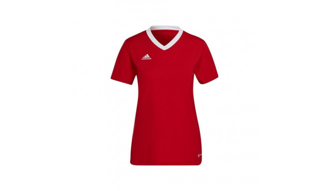 Adidas Entrada 22 Jsy W T-shirt H57571 (L)
