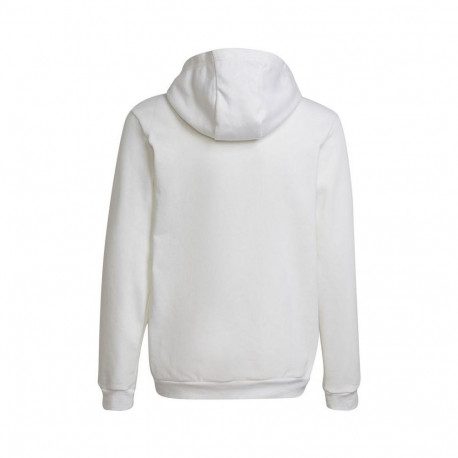 Adidas Entrada 22 Hoody Jr HG6303 sweatshirt (164 cm)