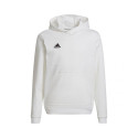 adidas sweatshirt Entrada 22 Hoody Jr HG6303 140cm