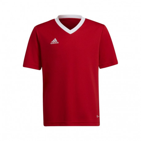 Adidas Entrada 22 Jsy Jr T-shirt H57496 (140 cm)