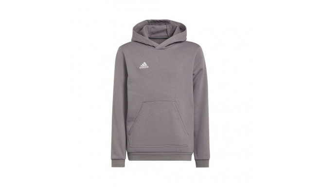 Adidas Entrada 22 Hoody Jr Sweatshirt H57515 (164 cm)