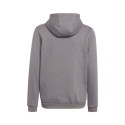 adidas sweatshirt Entrada 22 Hoody Jr H57515 164cm