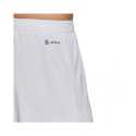 Adidas Entrada 22 M HG6295 shorts (XL)