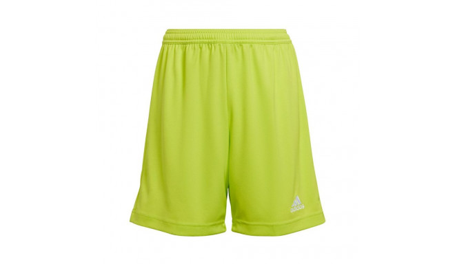 Adidas Entrada 22 Jr HC5065 shorts (164 cm)