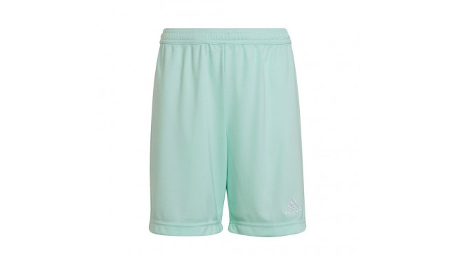 Adidas Entrada 22 Jr HC5058 shorts (128 cm)