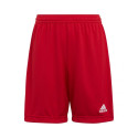 Adidas Entrada 22 Jr H57501 shorts (116 cm)