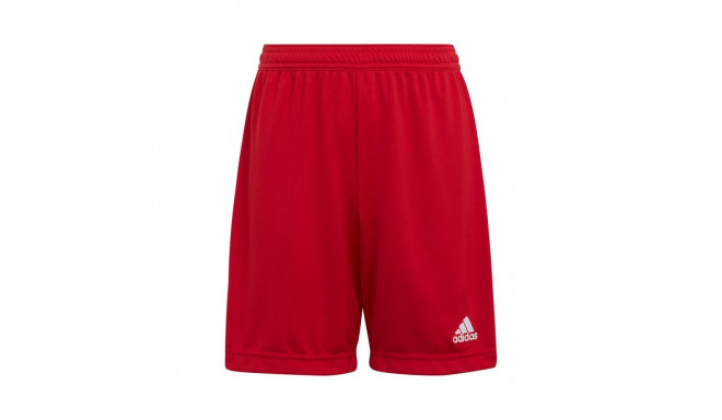 Adidas Entrada 22 Jr H57501 shorts (164 cm)