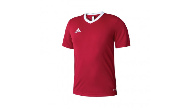 Adidas Entrada 22 M T-shirt H61736 (XL (188cm))