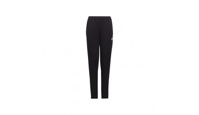 adidas Entrada 22 Jr Pants HC0337 (164)