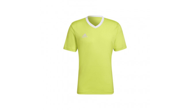 Adidas Entrada 22 M T-shirt HC5077 (XXL (193cm))