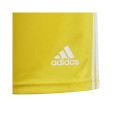 Adidas Squadra 21 Short Youth Jr GN5760 (176)