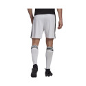 Adidas Squadra 21 Short M GN5773 (XXL)