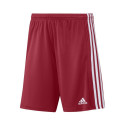 Adidas Squadra 21 Short M GN5771 (XXL)