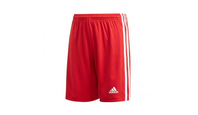 Adidas Squadra 21 Short Youth Jr GN5761 (164cm)