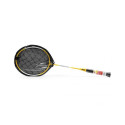 SMJ Teloon TL100 badminton racket