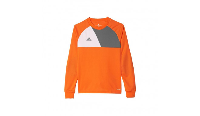 Adidas Assita 17 Jr AZ5402 sweatshirt (116 cm)