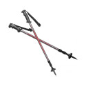 Spokey Ekvilibro GY RD 924976 trekking poles