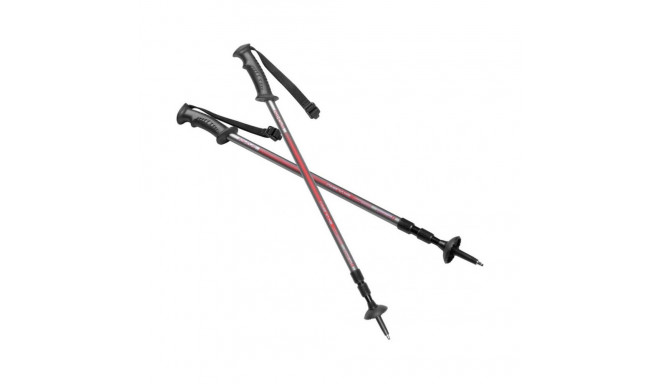 Spokey Ekvilibro GY RD 924976 trekking poles