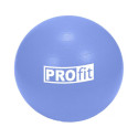 Profit 65cm gym ball DK 2102