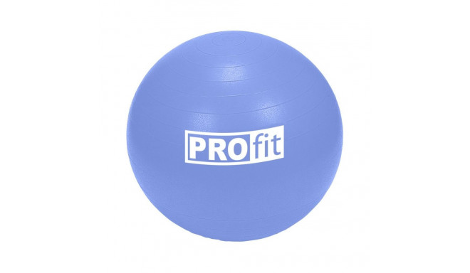 Profit 65cm gym ball DK 2102