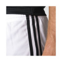 Adidas Squadra 17 M BJ9227 football shorts (152 cm)