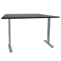 Desk ERGO with 2 motors 140x80cm, black