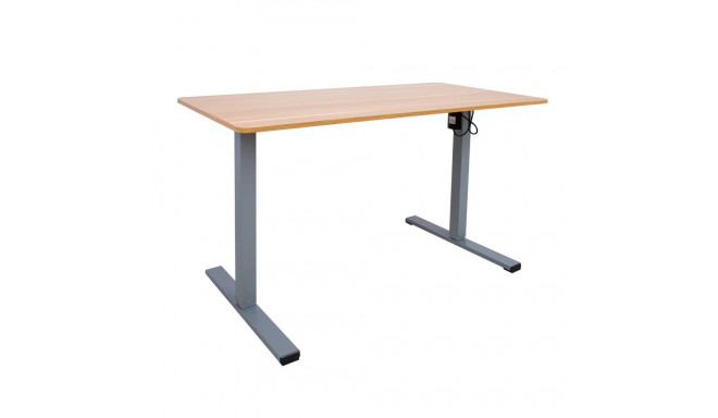Desk ERGO OPTIMAL with 1 motor 140x70xH71-116cm, hickory/silver grey