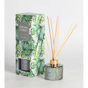 Reed diffuser NATURE GREEN 100ml, Evergreen