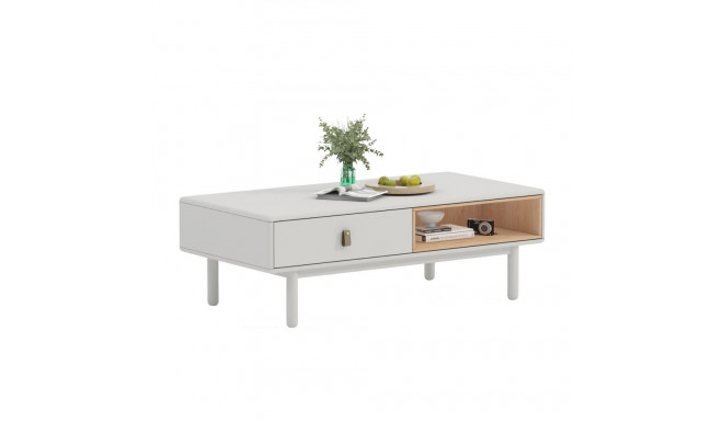 Coffee table IRIS 120x60xH40cm, white