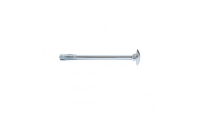 BOLT (DIN603 M8X100 ZN) 6PCS