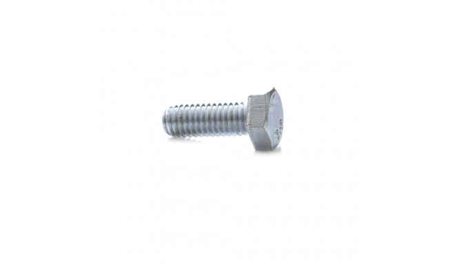 Polt A2 M10X30 DIN933 8tk