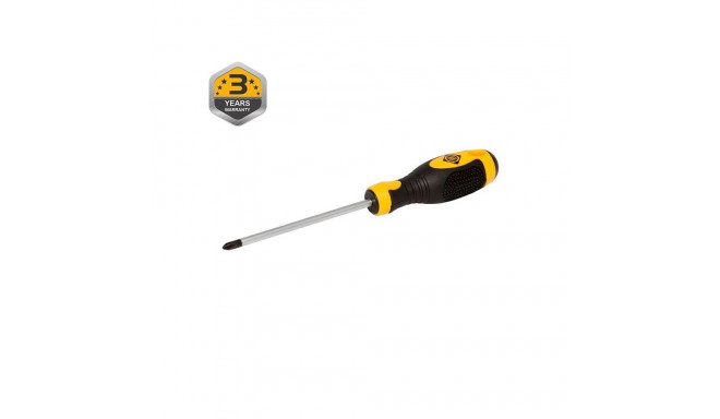 CROSSHEAD SCREWDRIVER PH1 X 100 MM